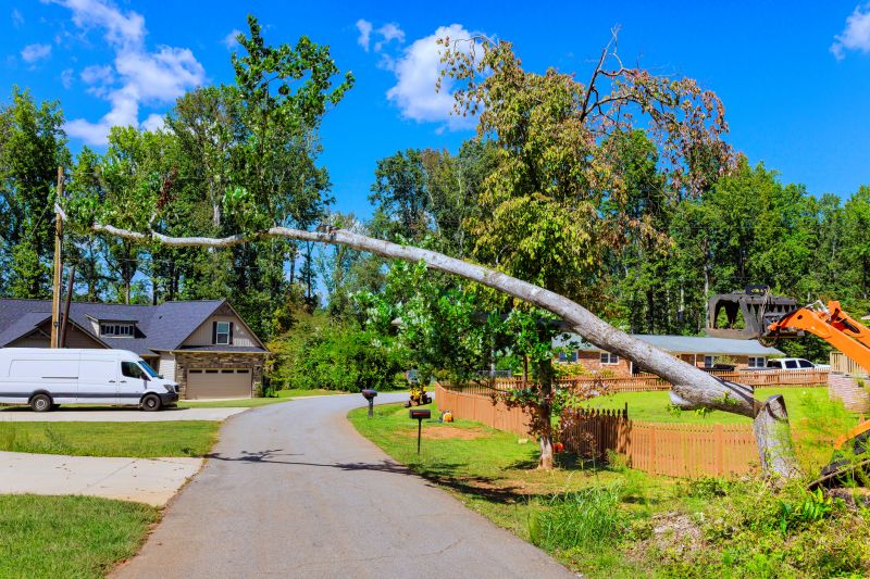 Emergency Tree Service detail