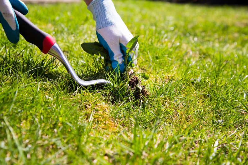 Garden Deweeding in Aiken, SC