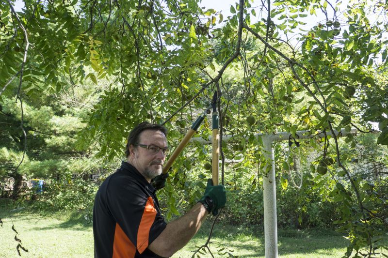 Tree Pruning