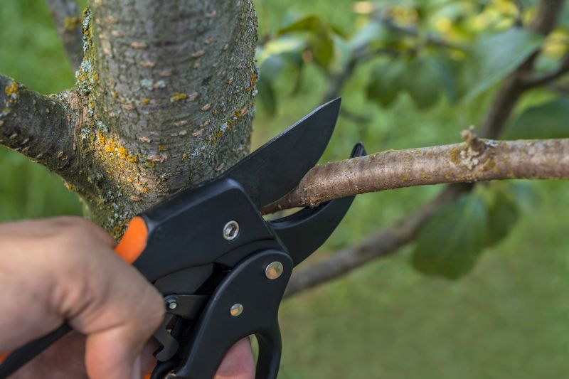 Tree Removal Service in Pottstown, PA